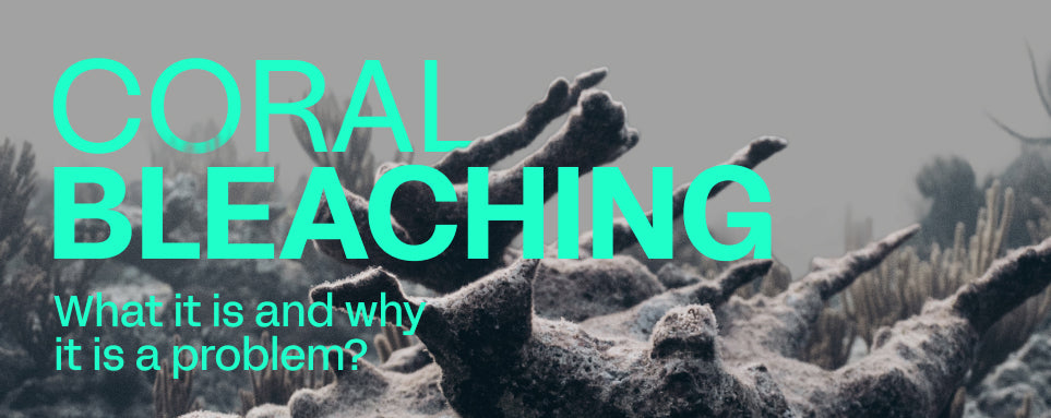 Coral bleaching