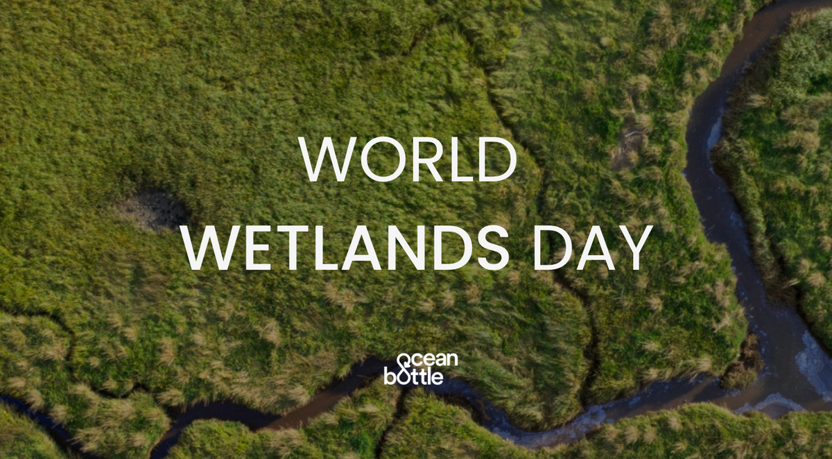 World Wetlands Day 2024