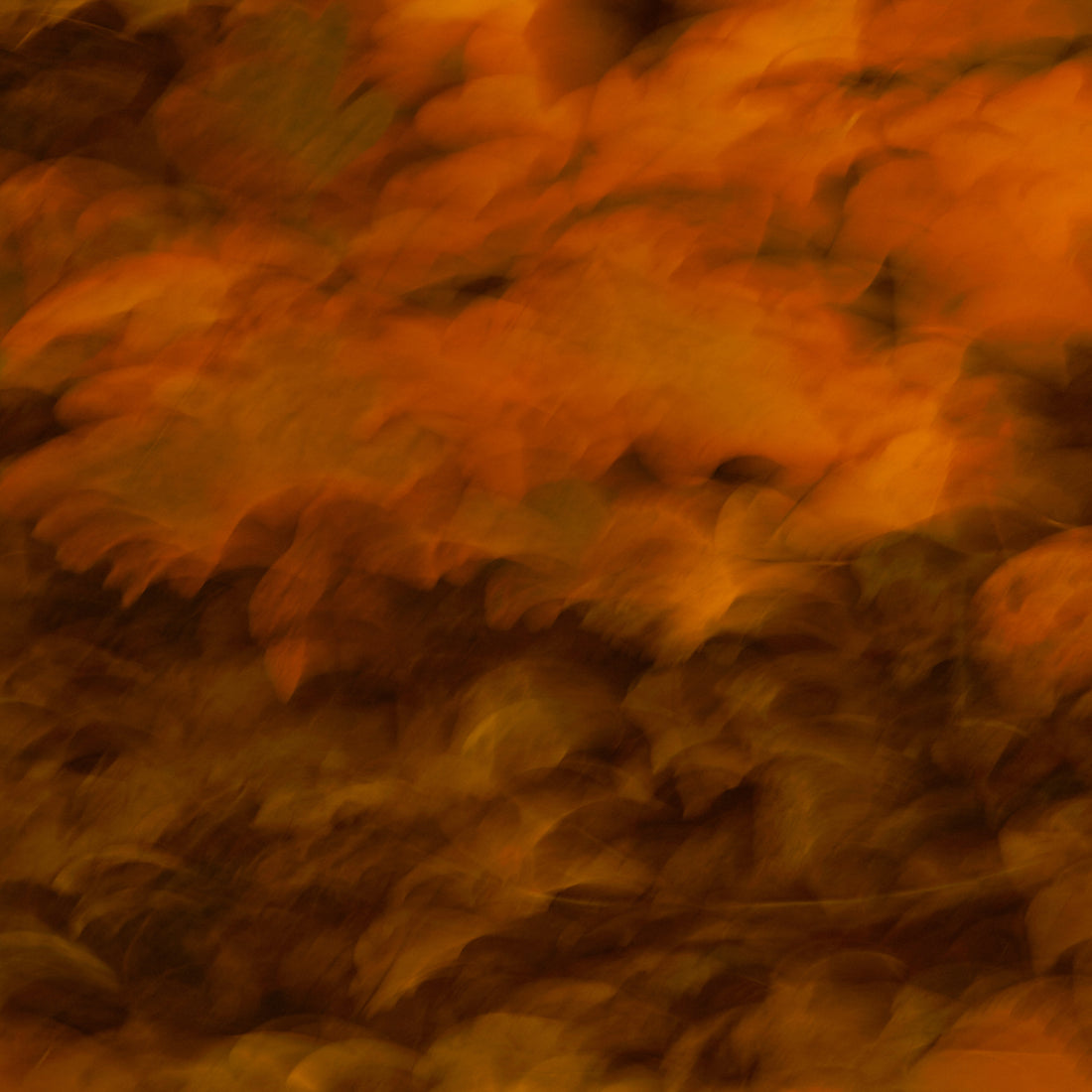 Display Image
