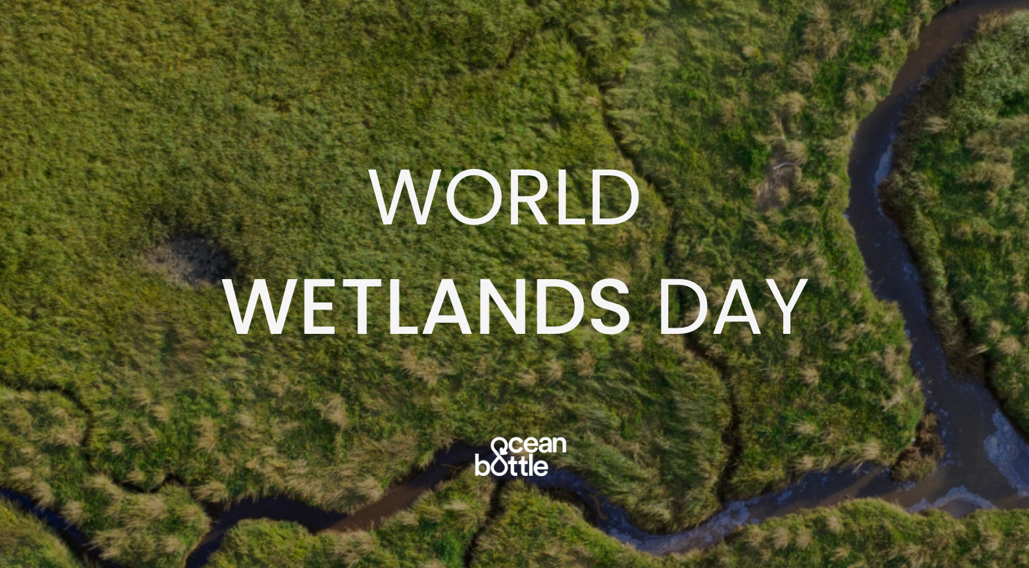 World Wetlands Day