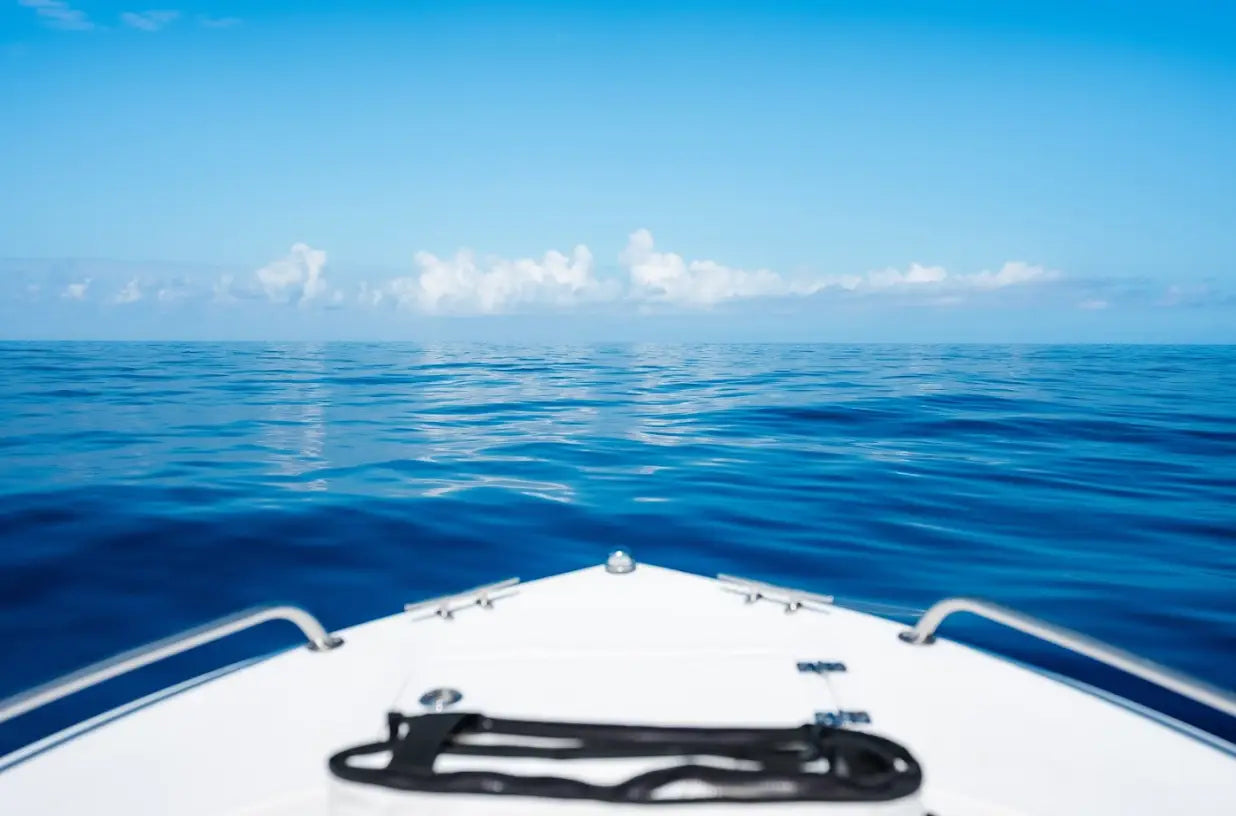 World Ocean Day: How your choices impact the ocean