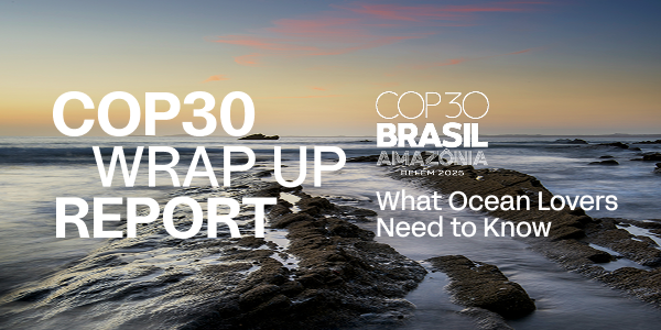 COP30: Big Waves, Bigger Gaps 🌍🌊