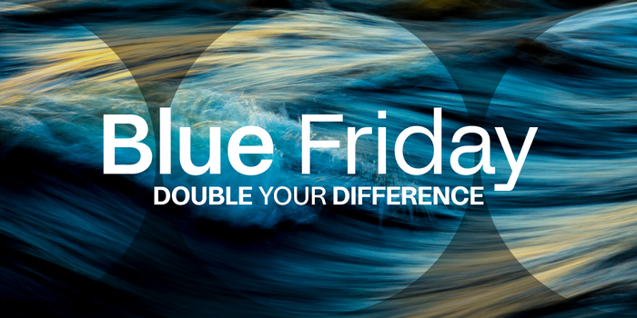 Blue Friday - Double Impact