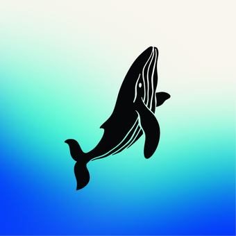 Whale
