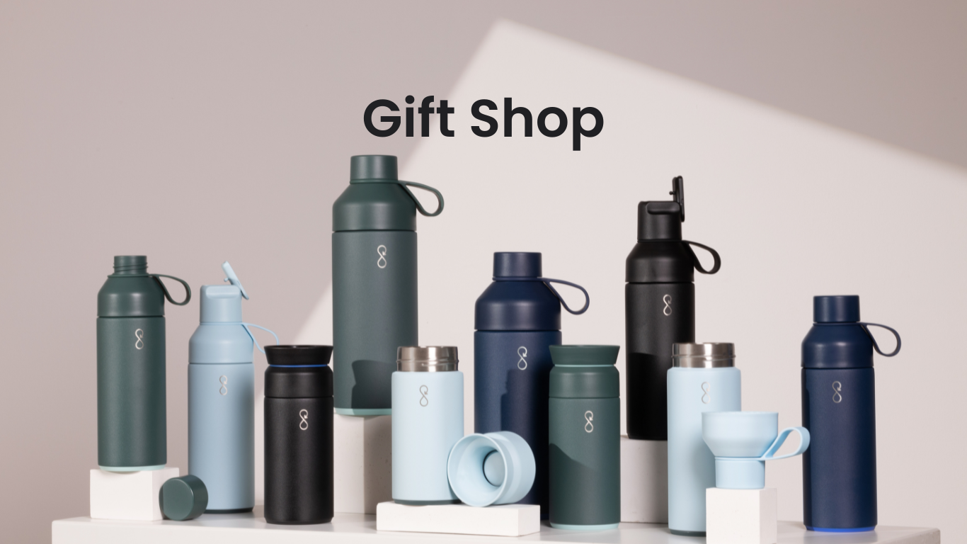 Water Bottle Gifts for Christmas with Sustainability in Mind » Ocean Bottle