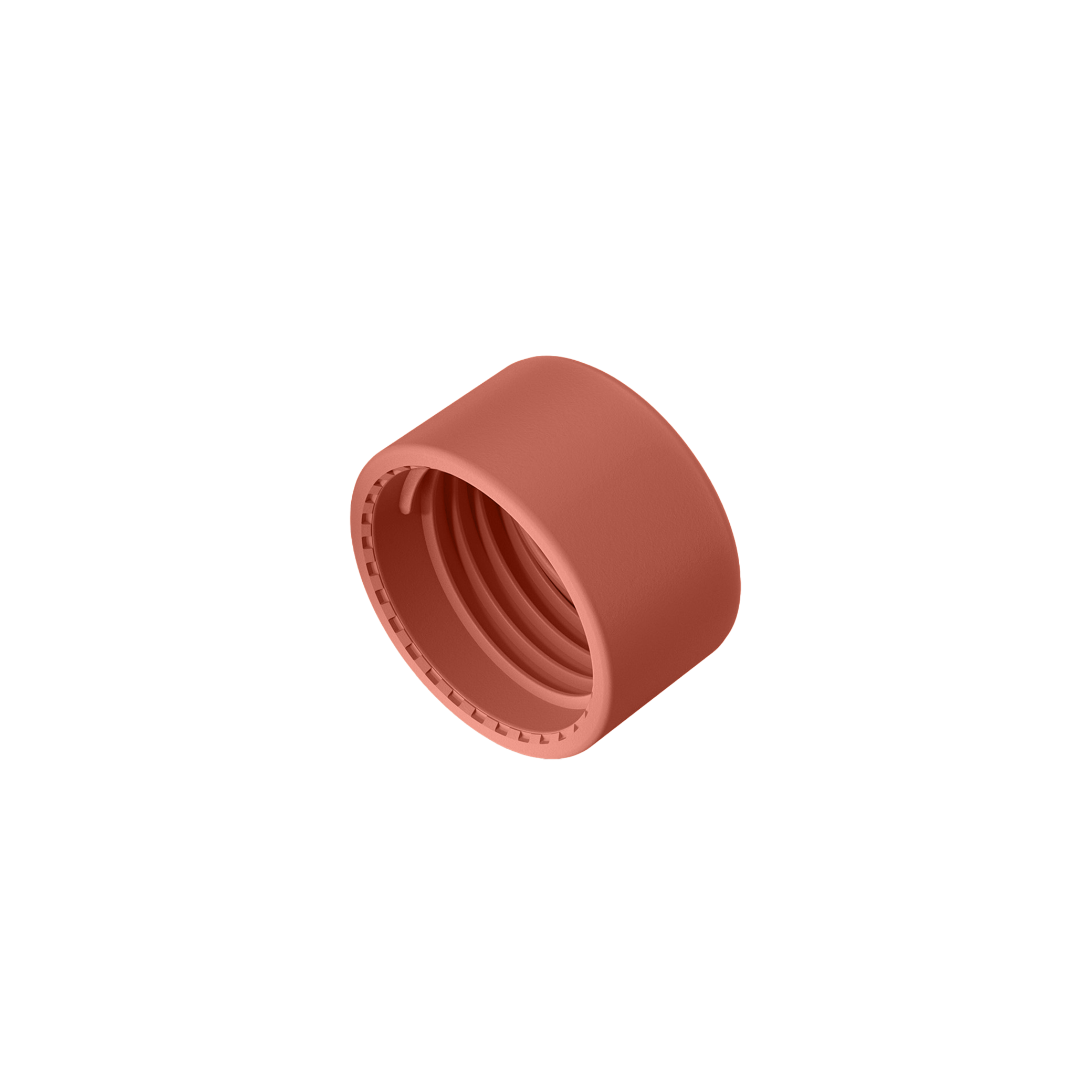 Original Lid