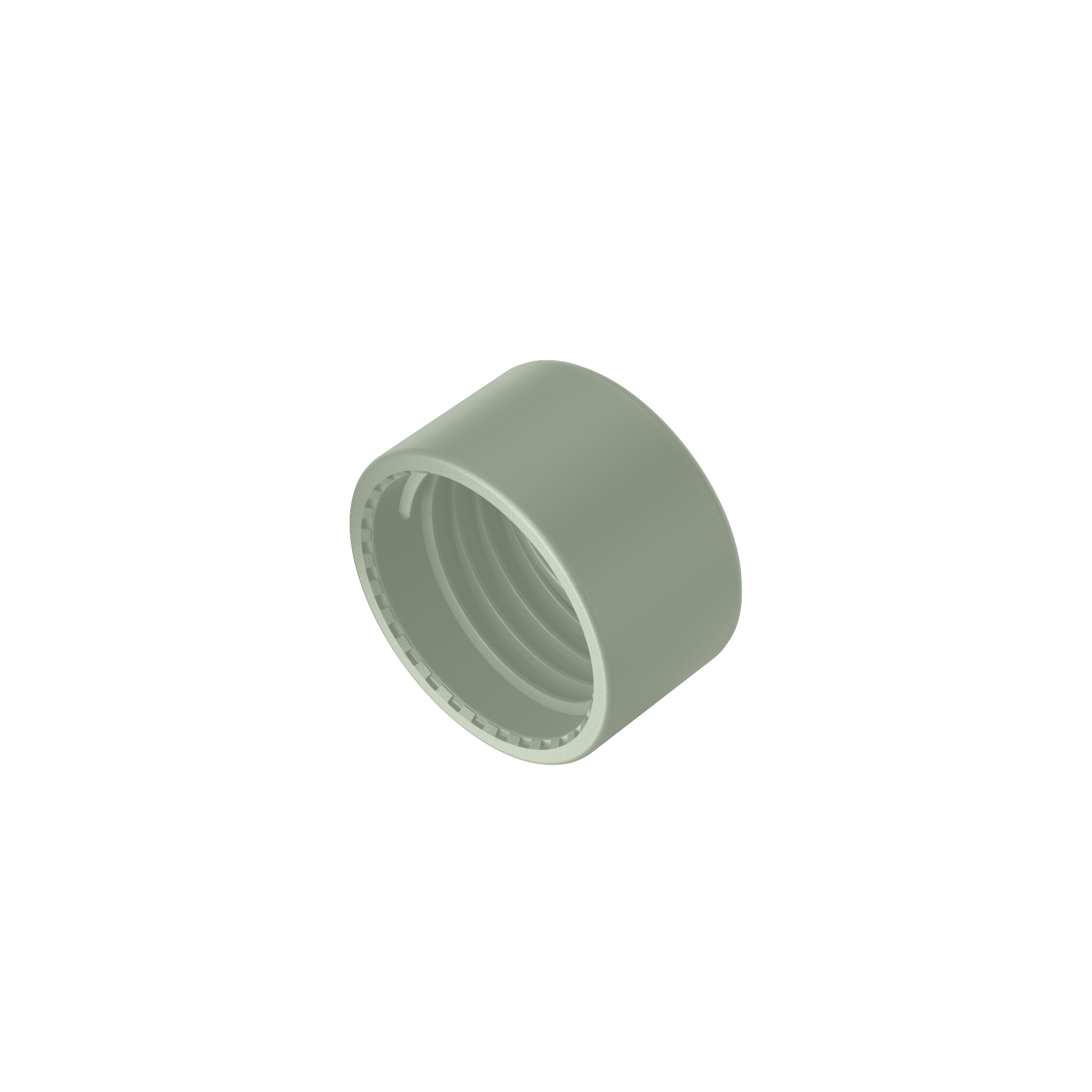 Original Lid