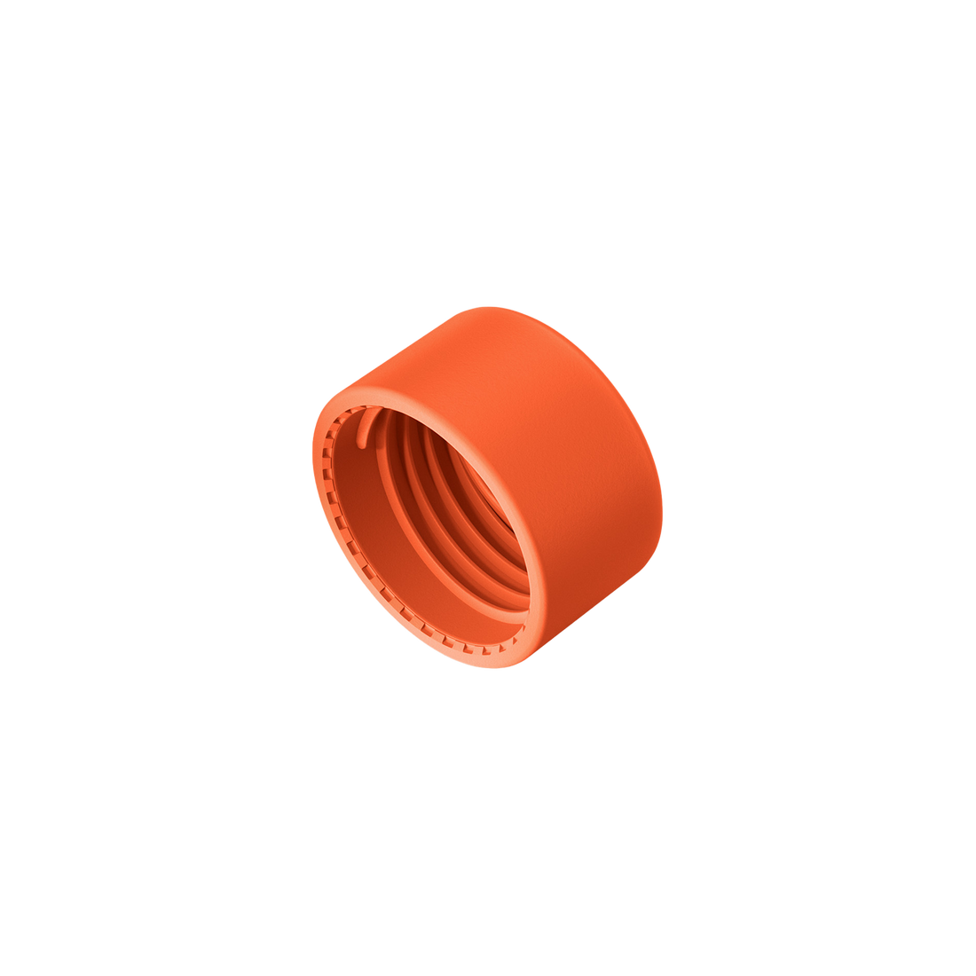 Original Lid