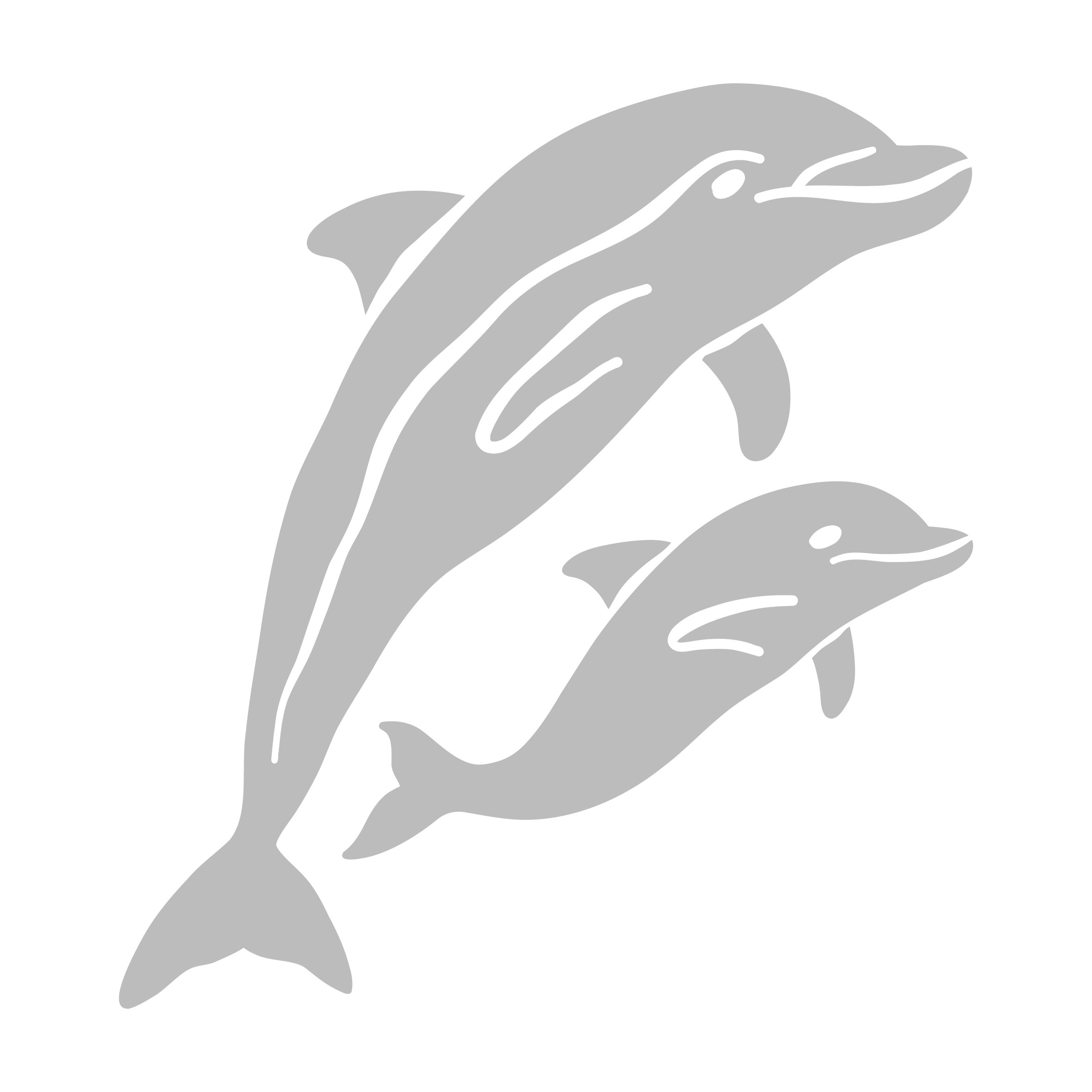Dolphin