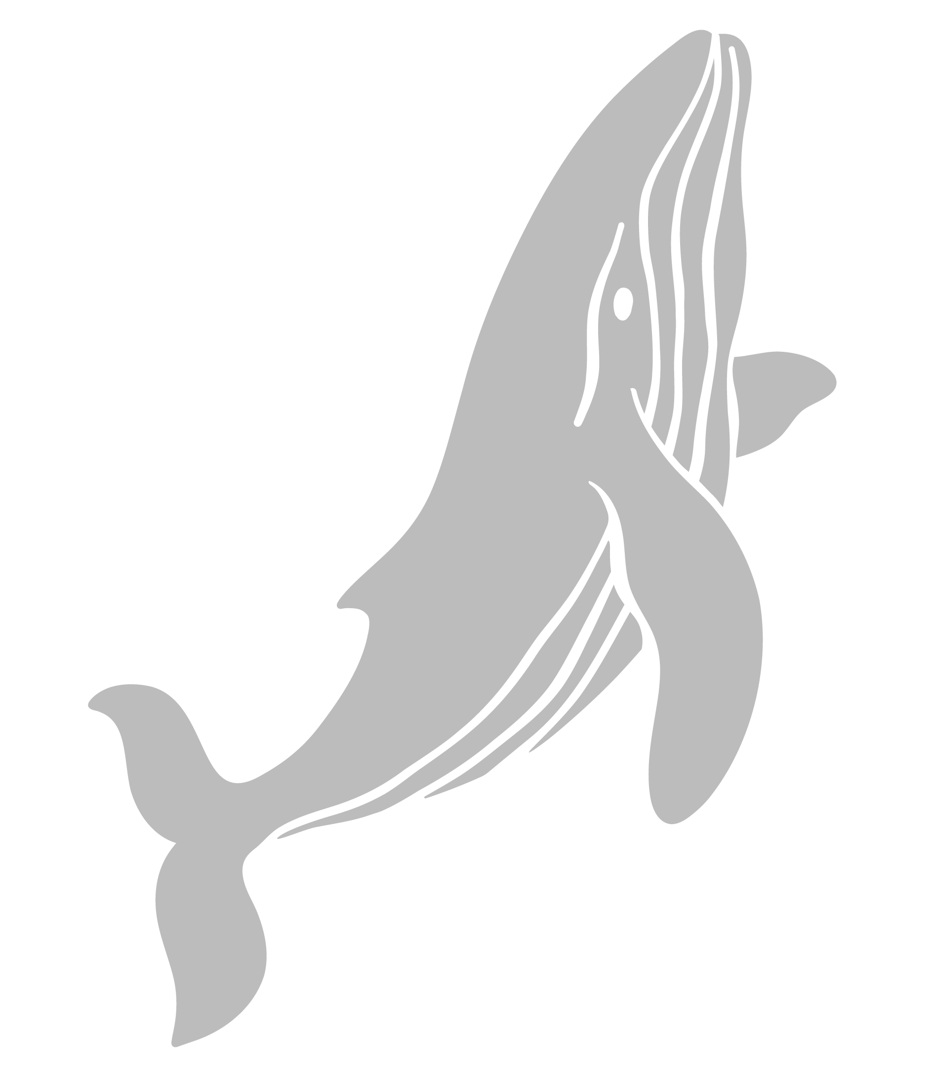 Whale